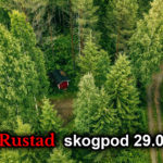 Skogpod 29. september 2023