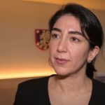 S släpper rapport om misslyckad invandringspolitik