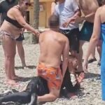 Kaos på spansk strand: Turister stoppade illegala migranter som anlände med båt
