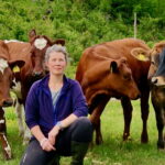 Norska mjölkbönder efter Bovaer-stoppet: ”Vi är inte nöjda förrän det är förbjudet”