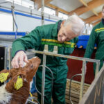 Massivt uppror bland norska bönder efter Bovaer-skandalen