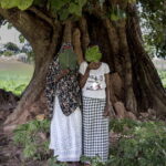 Akademiker försvarar kvinnlig könsstympning